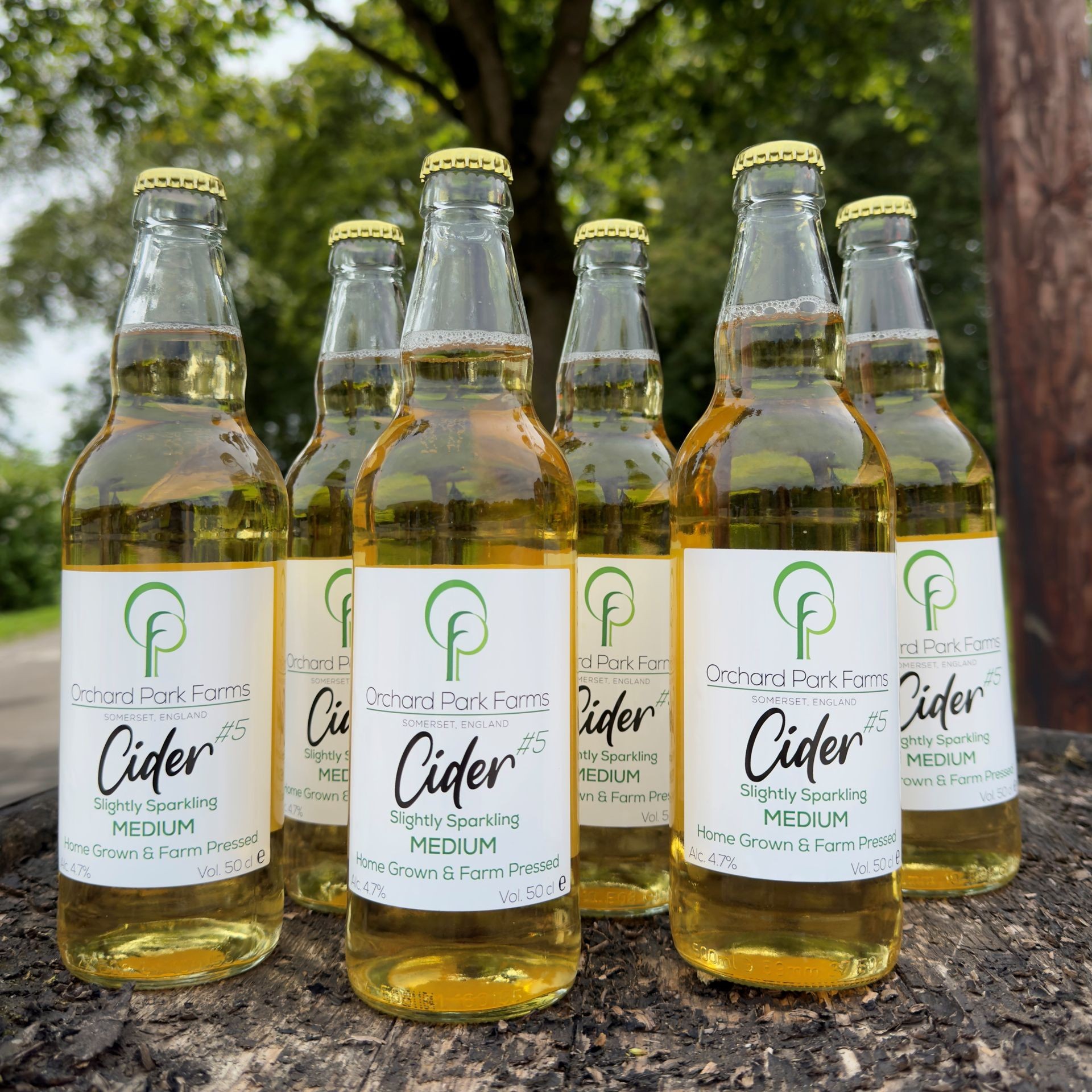 Want to know more about cider?