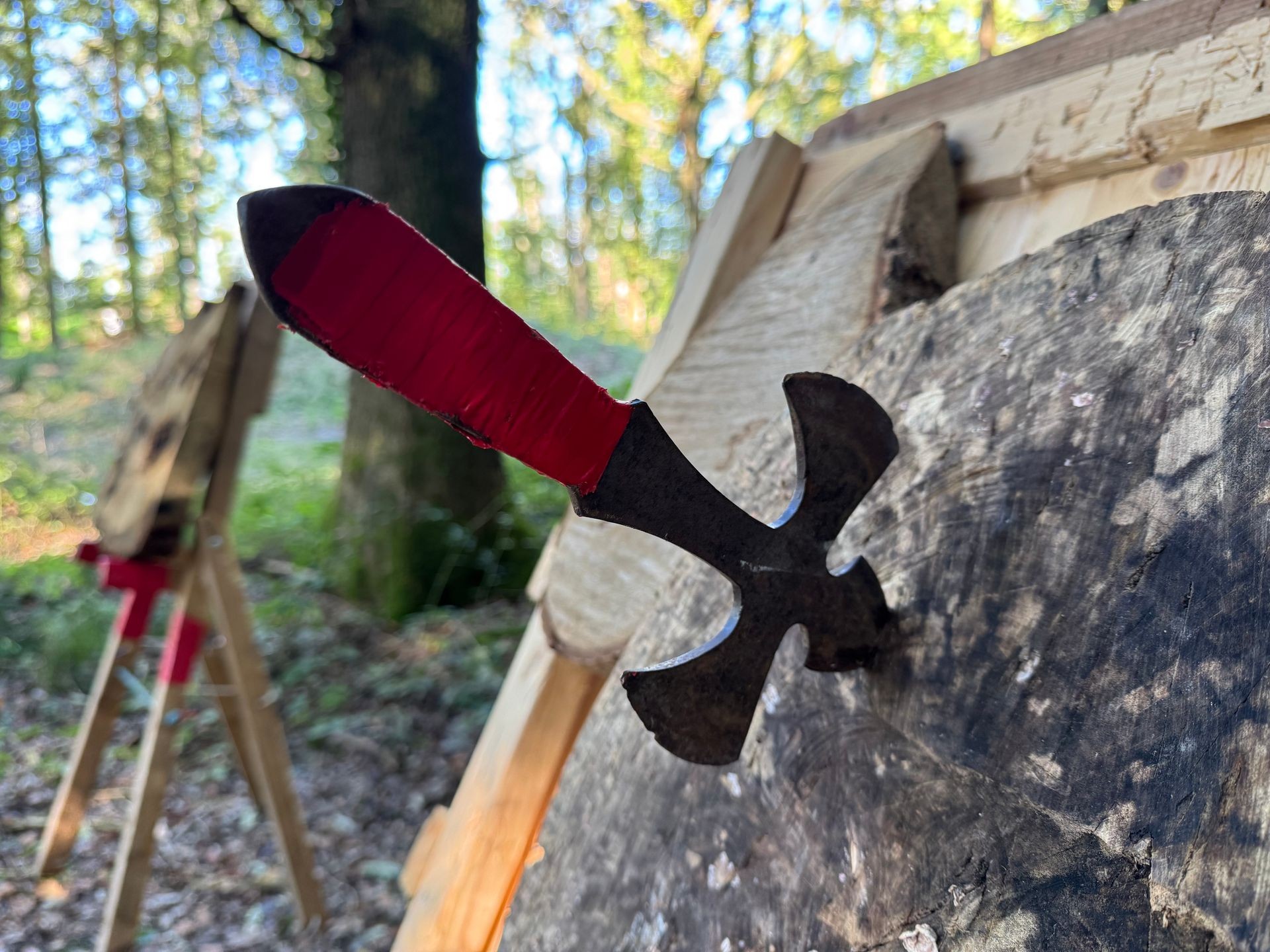 AXE THROWING